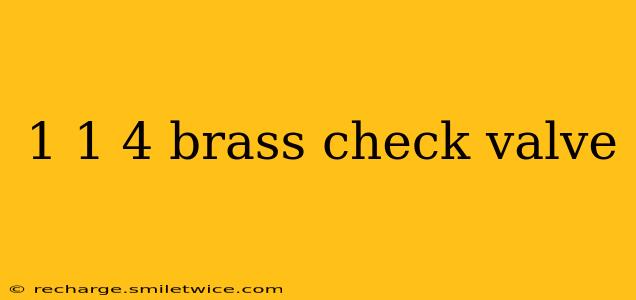 1 1 4 brass check valve