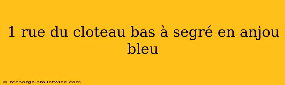 1 rue du cloteau bas à segré en anjou bleu