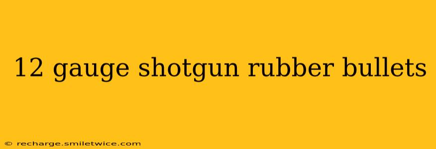 12 gauge shotgun rubber bullets