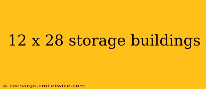 12 x 28 storage buildings