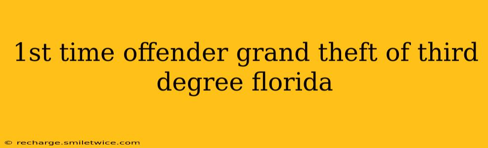 1st time offender grand theft of third degree florida