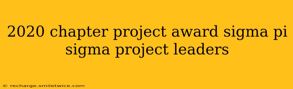 2020 chapter project award sigma pi sigma project leaders