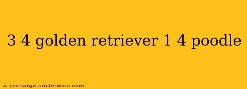 3 4 golden retriever 1 4 poodle