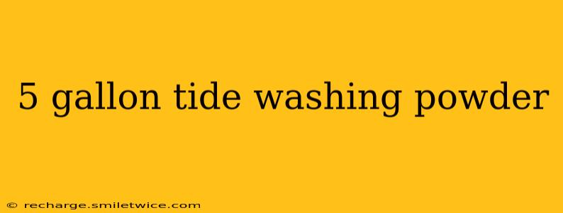 5 gallon tide washing powder