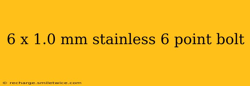 6 x 1.0 mm stainless 6 point bolt