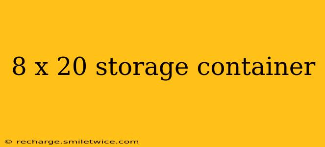 8 x 20 storage container