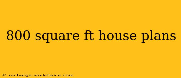 800 square ft house plans