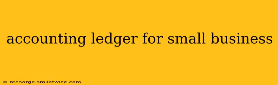 accounting ledger for small business