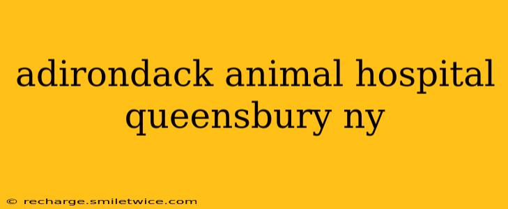 adirondack animal hospital queensbury ny