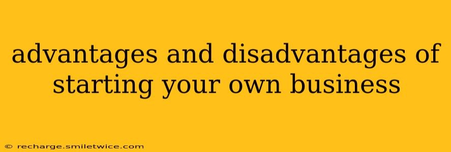 advantages and disadvantages of starting your own business