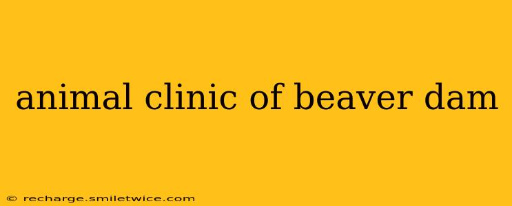 animal clinic of beaver dam