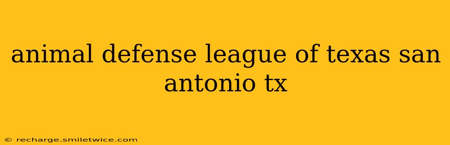 animal defense league of texas san antonio tx