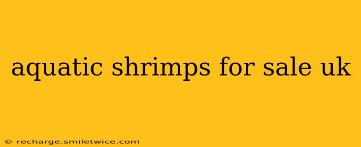 aquatic shrimps for sale uk