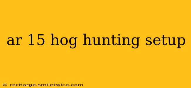 ar 15 hog hunting setup