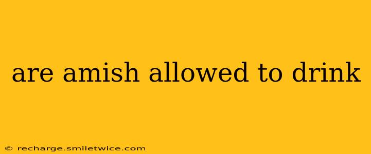 are amish allowed to drink