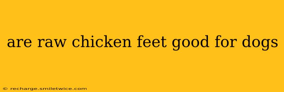 are raw chicken feet good for dogs