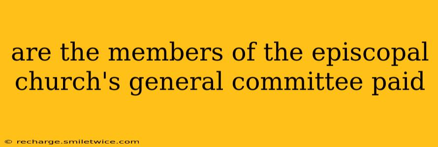 are the members of the episcopal church's general committee paid