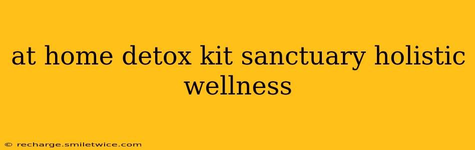 at home detox kit sanctuary holistic wellness