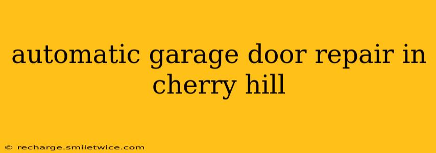 automatic garage door repair in cherry hill