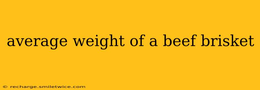 average weight of a beef brisket