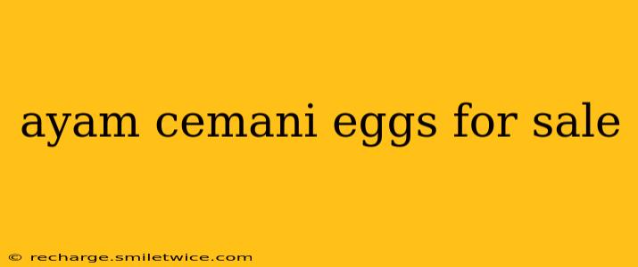 ayam cemani eggs for sale