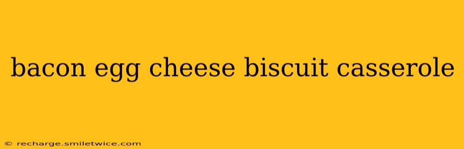 bacon egg cheese biscuit casserole