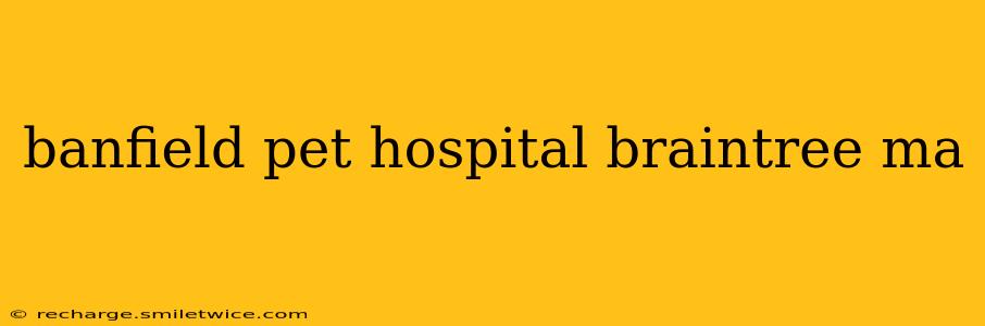 banfield pet hospital braintree ma