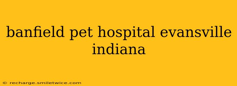 banfield pet hospital evansville indiana