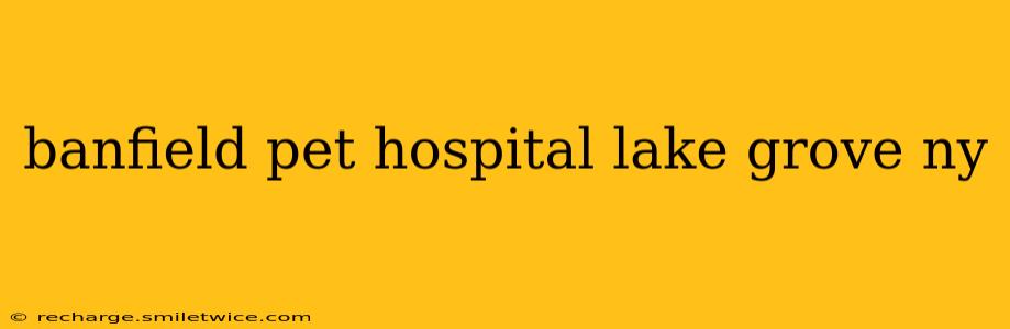 banfield pet hospital lake grove ny