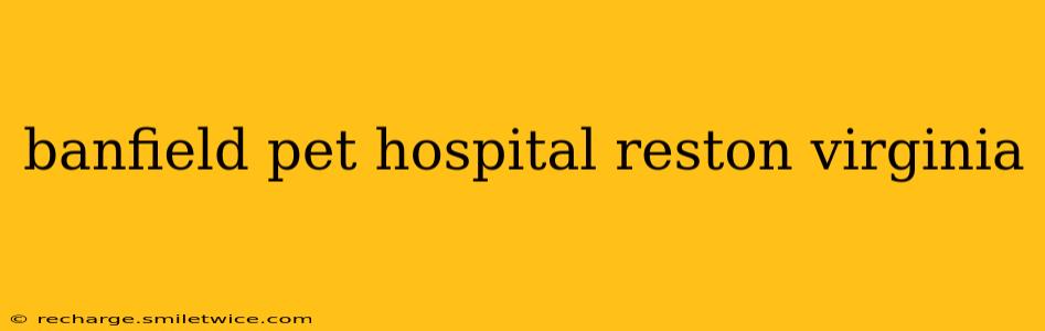 banfield pet hospital reston virginia