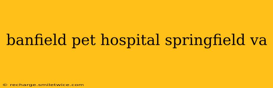 banfield pet hospital springfield va