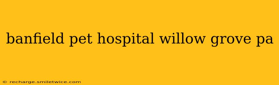 banfield pet hospital willow grove pa