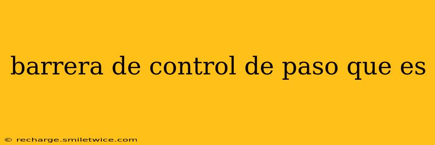 barrera de control de paso que es
