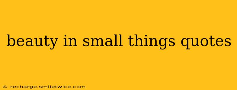 beauty in small things quotes