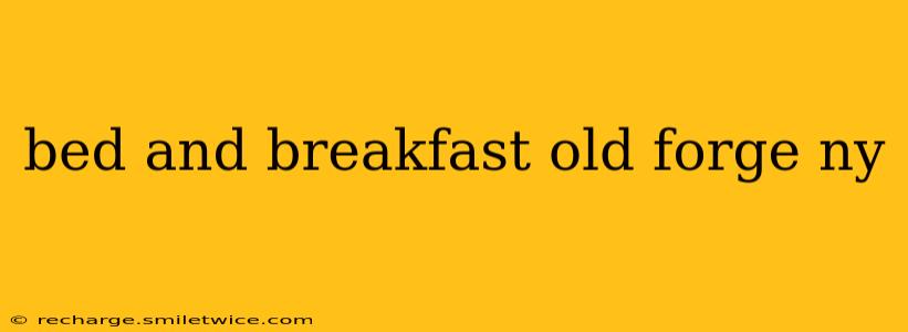 bed and breakfast old forge ny