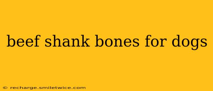 beef shank bones for dogs