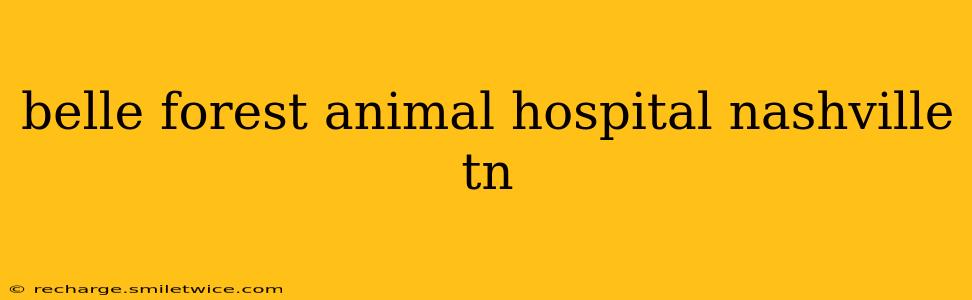 belle forest animal hospital nashville tn