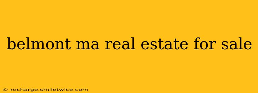 belmont ma real estate for sale