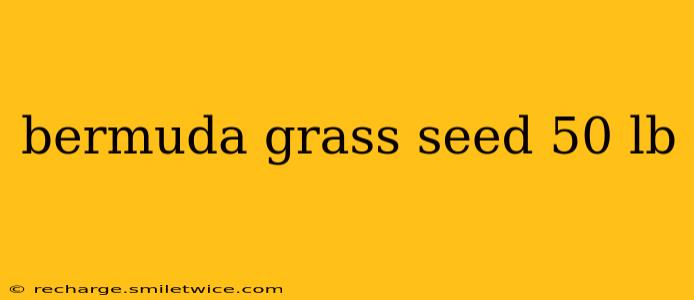 bermuda grass seed 50 lb