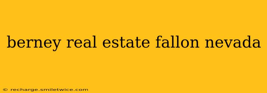 berney real estate fallon nevada