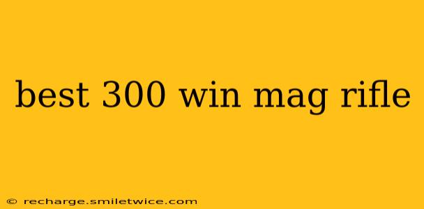 best 300 win mag rifle