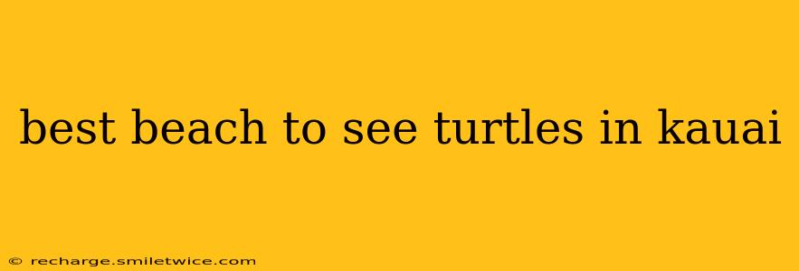 best beach to see turtles in kauai