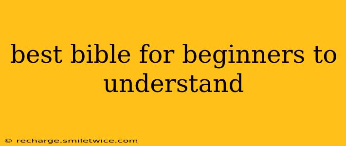 best bible for beginners to understand