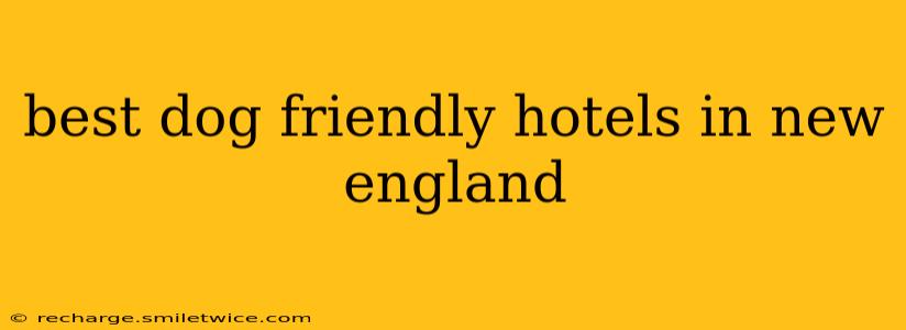 best dog friendly hotels in new england