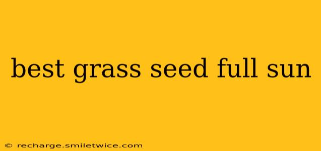 best grass seed full sun