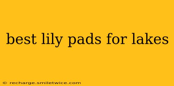 best lily pads for lakes