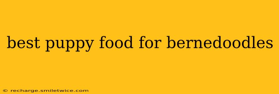 best puppy food for bernedoodles