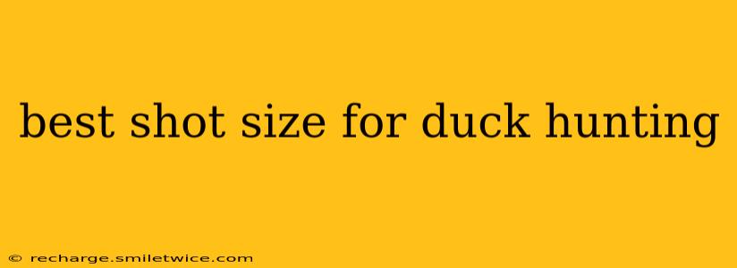 best shot size for duck hunting