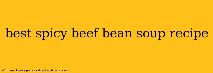 best spicy beef bean soup recipe