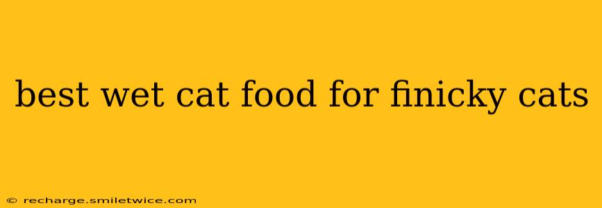 best wet cat food for finicky cats